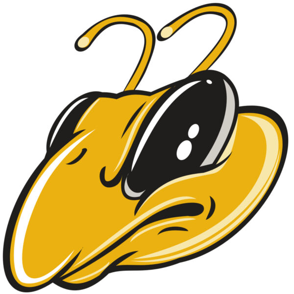 BEE HD0501 RQC Thumbnail