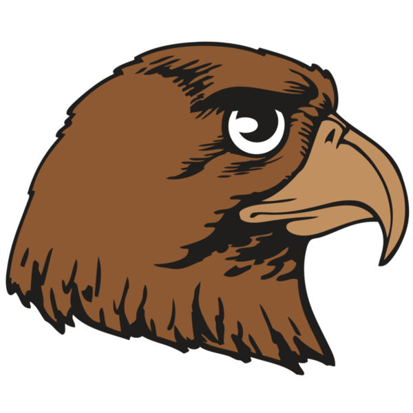 BAW HWK FLCN 05 RC Thumbnail