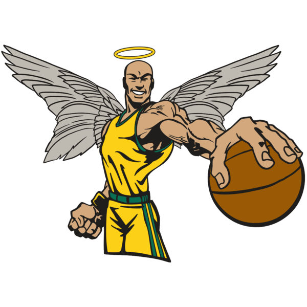 AR17 ANGEL BSKT 06 RQC Thumbnail