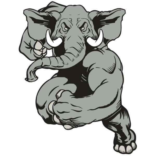 AR ELEPH 18 RC Thumbnail