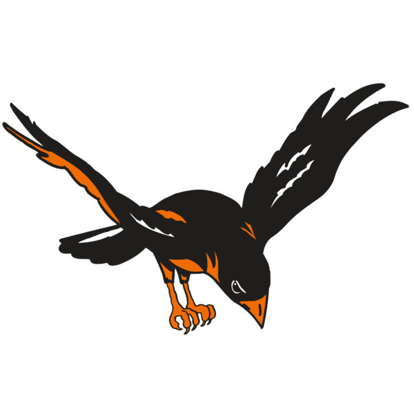 AR ORIOLE 16 RC Thumbnail