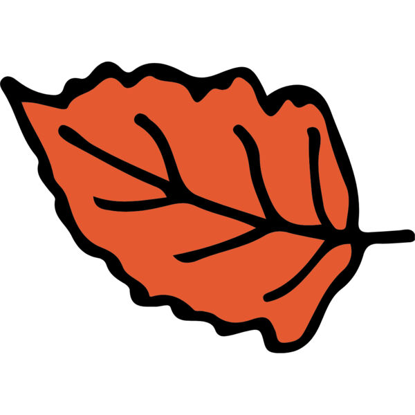 Autumn Fall Leaf 10 Thumbnail