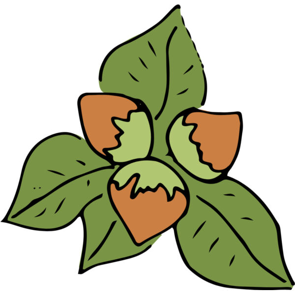 Autumn Fall Acorn Flower 1 Thumbnail