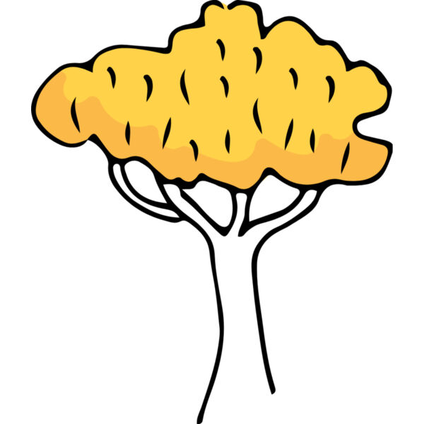 Autumn Fall Tree 3 Thumbnail