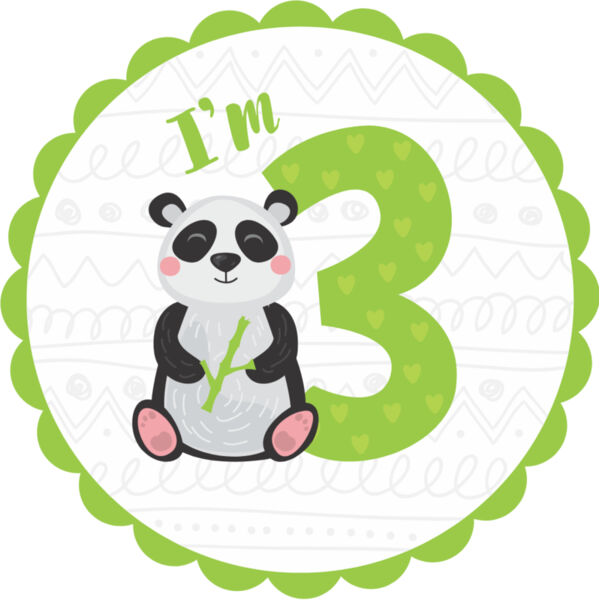 Three Birthday Animal Panda Number 2 Thumbnail
